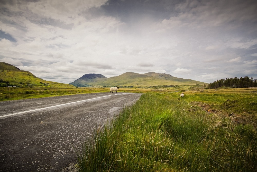 Irland Packen Irland Packliste Kamers