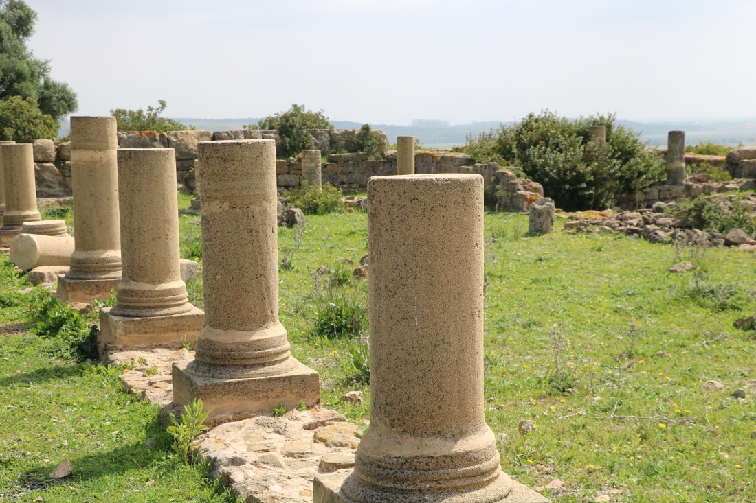 Säulen in der Ruine Lixus in Marokko