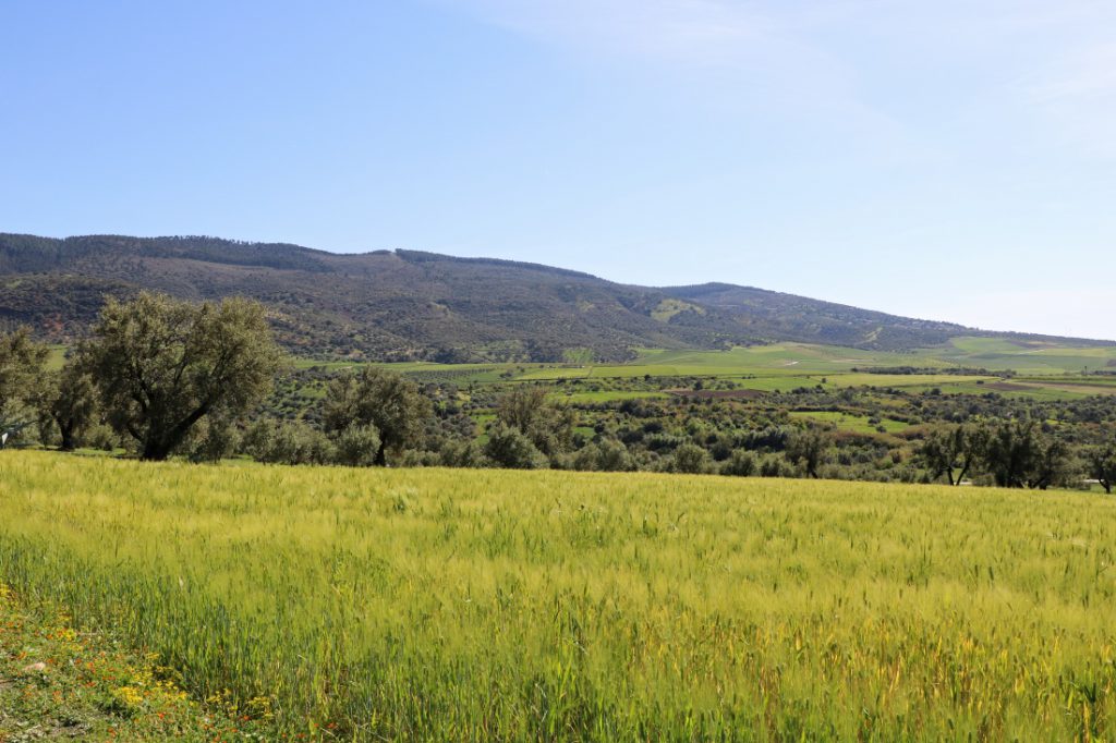 Backpacking in Marokko Frühling