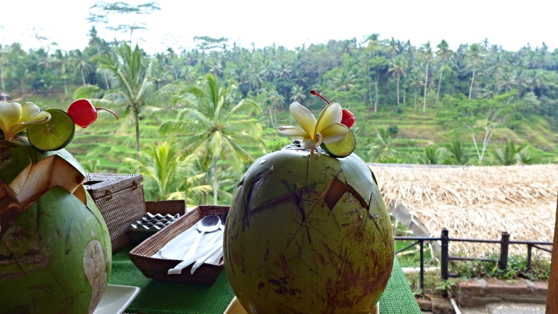 Bali Highlights Jatiluwih