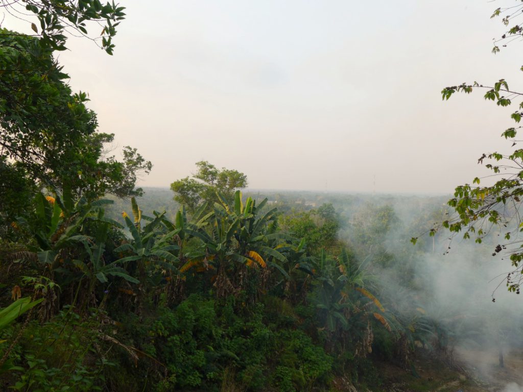 Typisch Indonesien Klima Tropen Brand