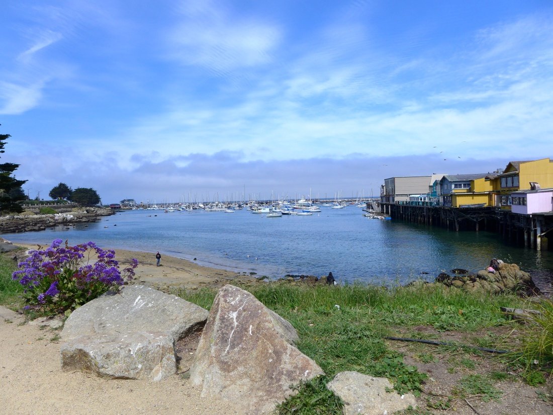 Ausflüge von San Francisco Monterey