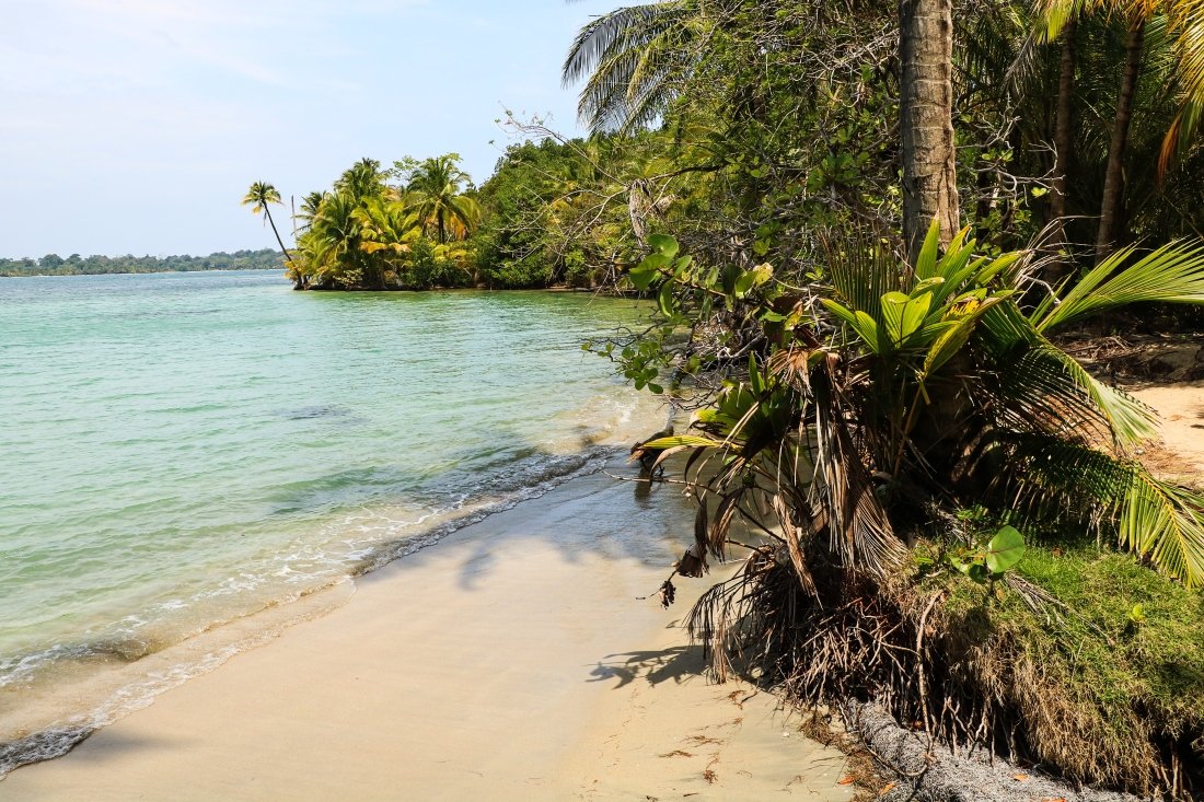Playa Estrella Boca del Drago Bocas del Toro Panama Isla Colon
