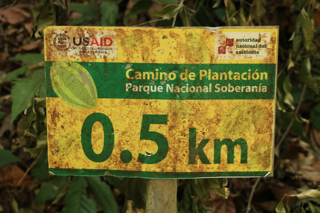 Soberania Nationalpark Panama Camino de Plantación
