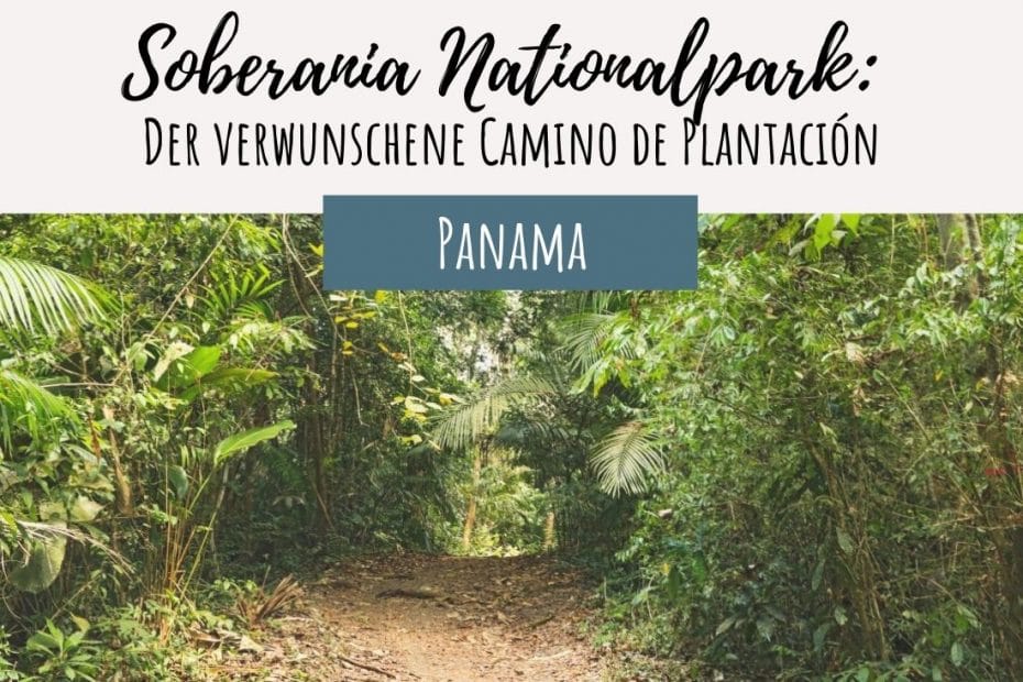 Soberania Nationalpark Panama