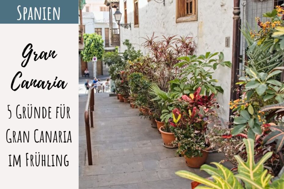 Gran Canaria im Frühling